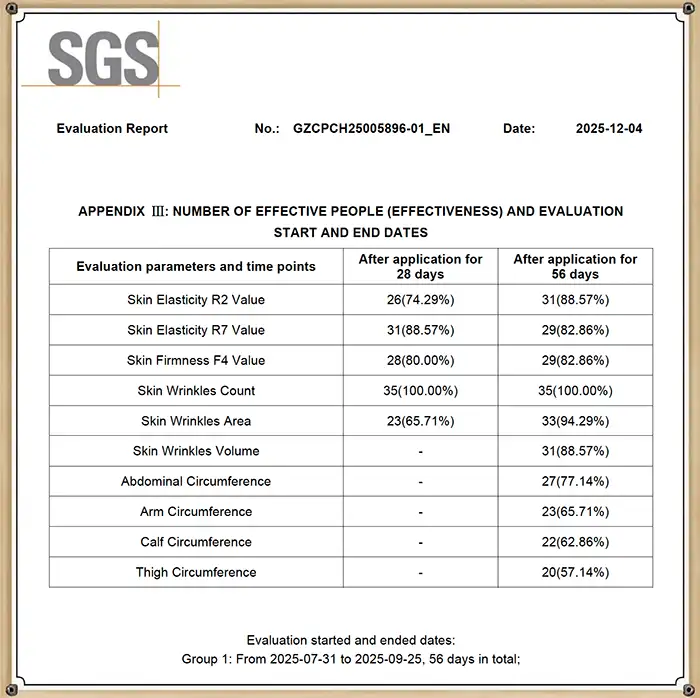 Auszug aus dem SGS Evaluation Report 2