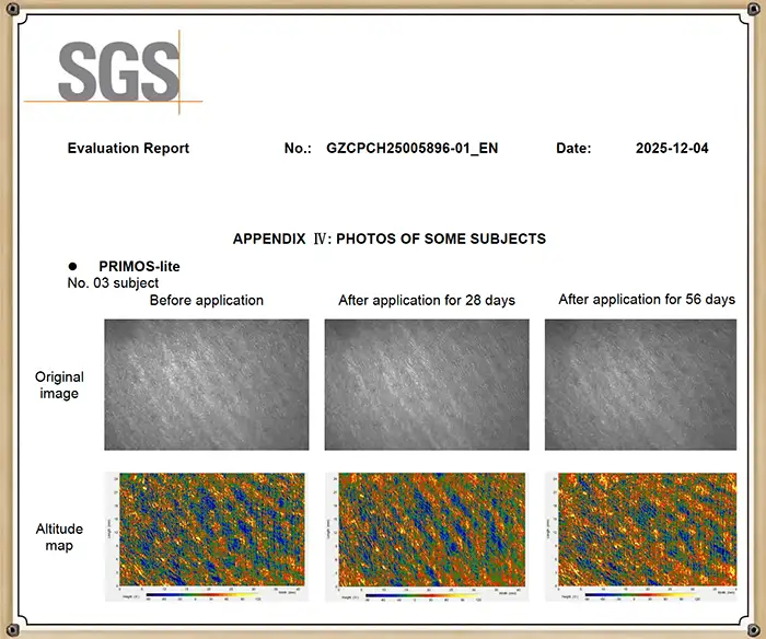 Auszug aus dem SGS Evaluation Report 3
